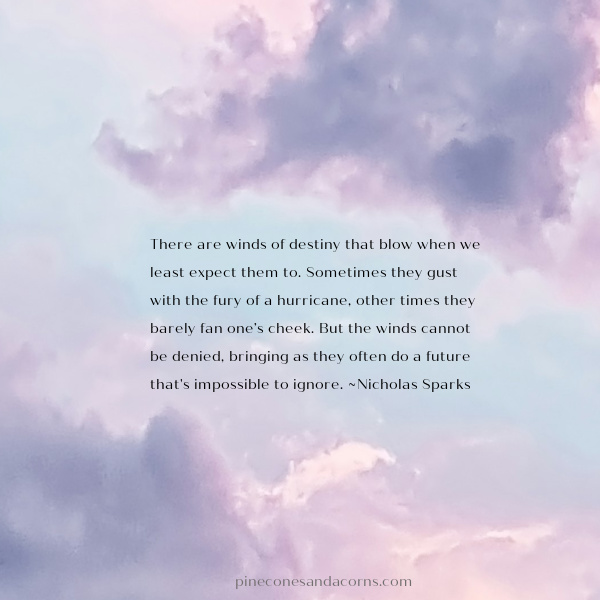 Nicholas Sparks quote on destiny and the future.