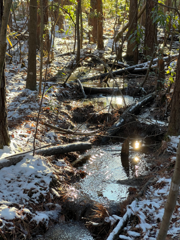 snow and ice on a stream.