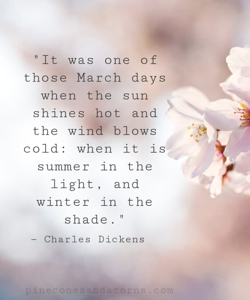 It was one of those March days when the sun shines hot and the wind blows cold_ when it is summer in the light, and winter in the shade. Charles Dickens overlay on cherry blossoms.