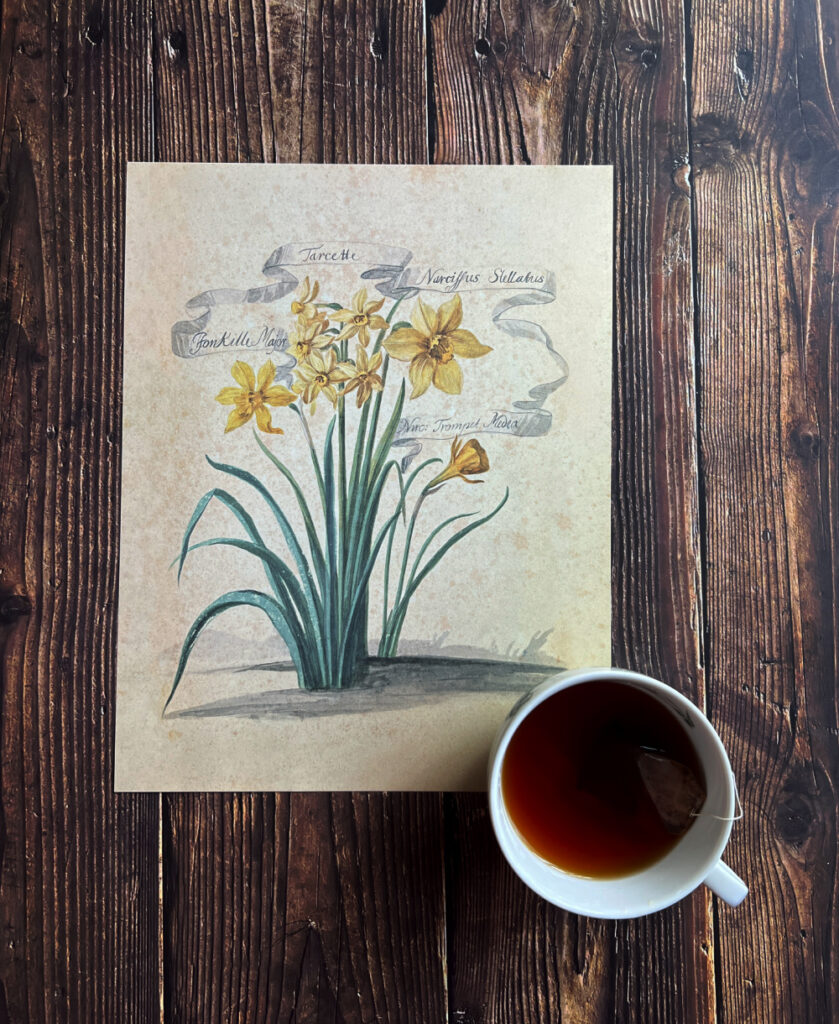 Friday Favorites Daffodil print and a cup of coffee.