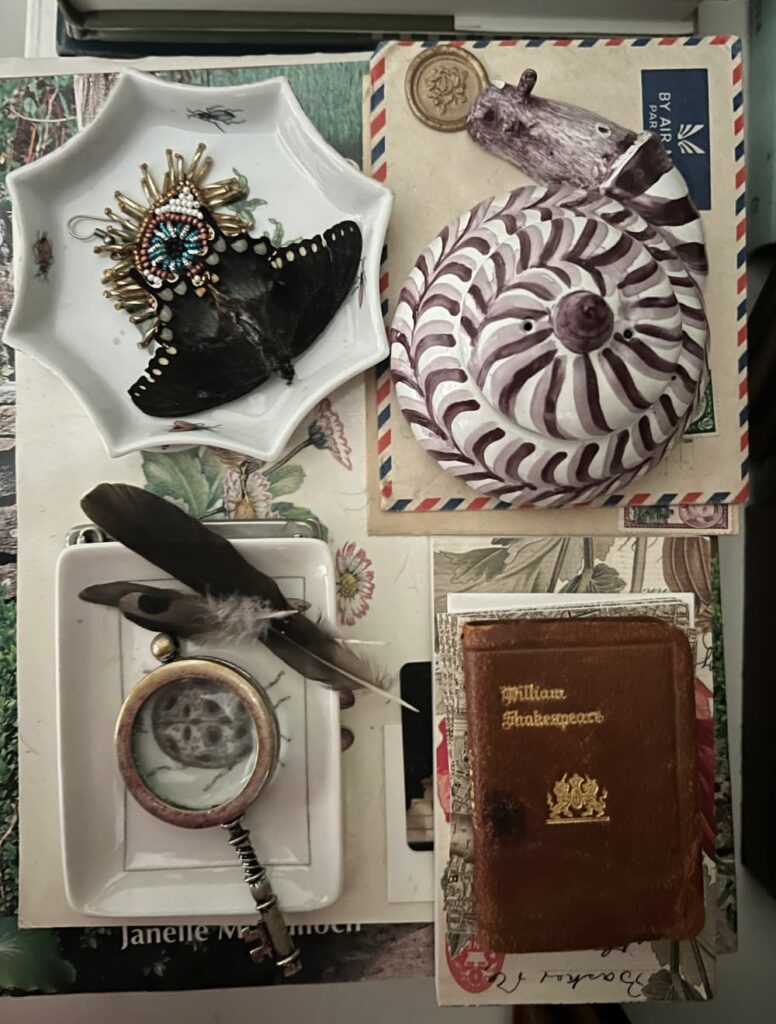 Maximalist home collection of books, feathers, small leather books, a ceramic snail.