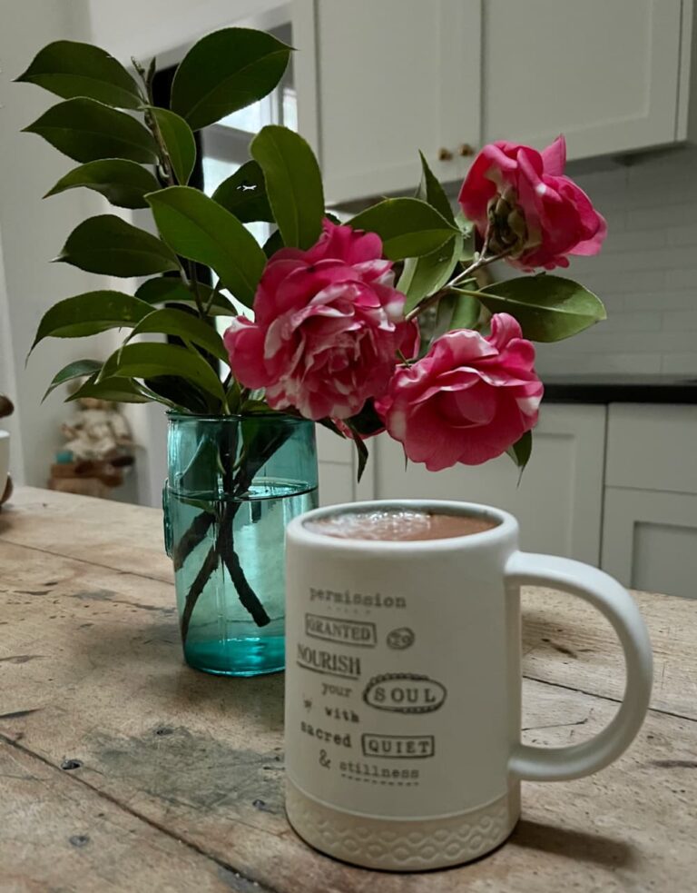 Weekend Meanderings — hot chocolate and a vase of pink camellia flowers on a cold Saturday morning.