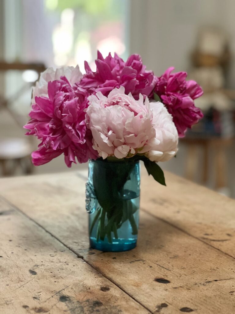 friday favorites cinco de mayo peonies spring 
