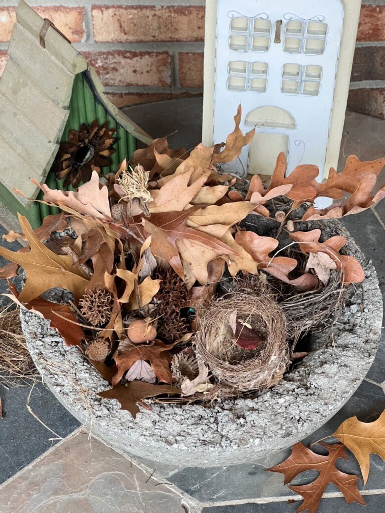 midlife self discovery — collection of natural finds on front porch pinecones acorns nests, leaves.
