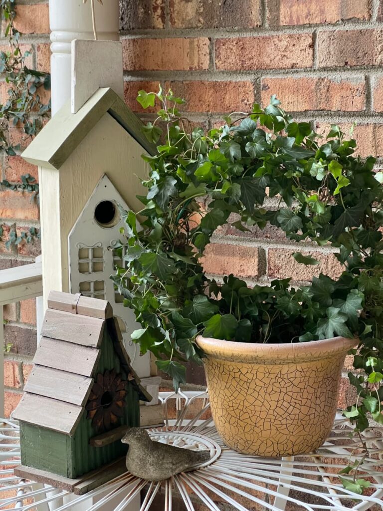 monday musings — early morning window with first light and birdhouses and concrete bird.