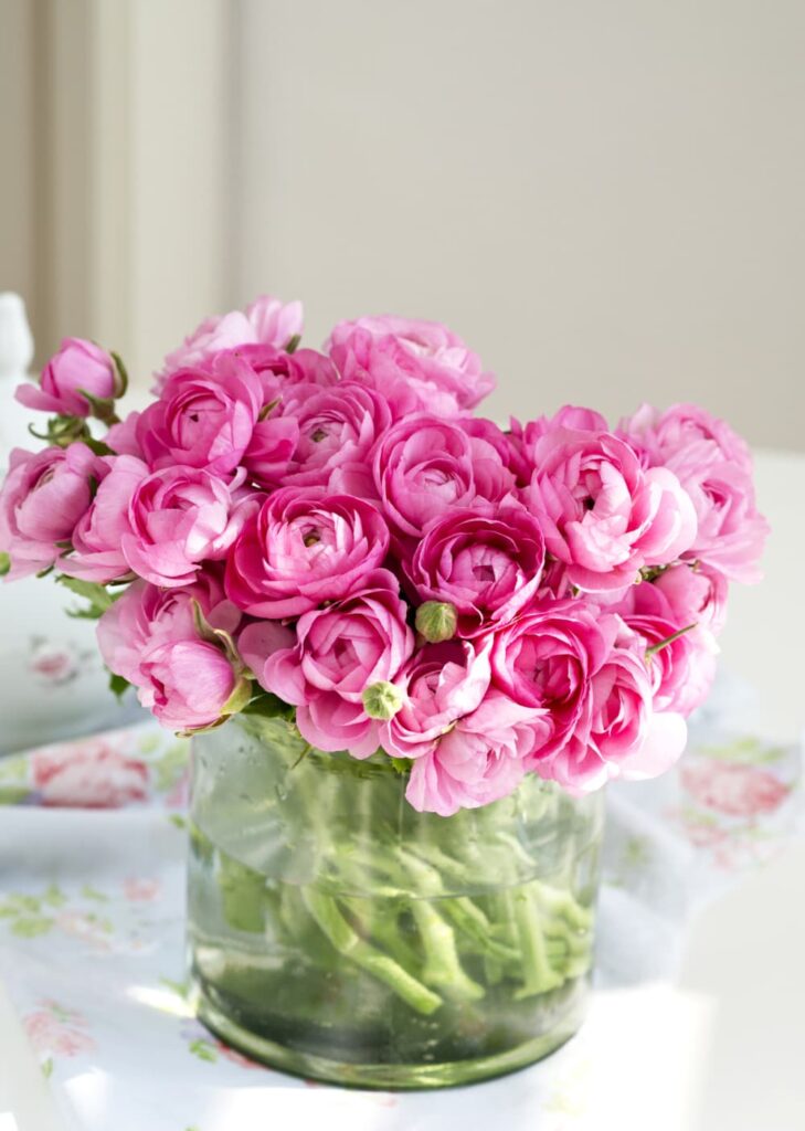 Aspring bucket list for women over 50~ clear glass vase of ranunculus on a kitchen table in spring
