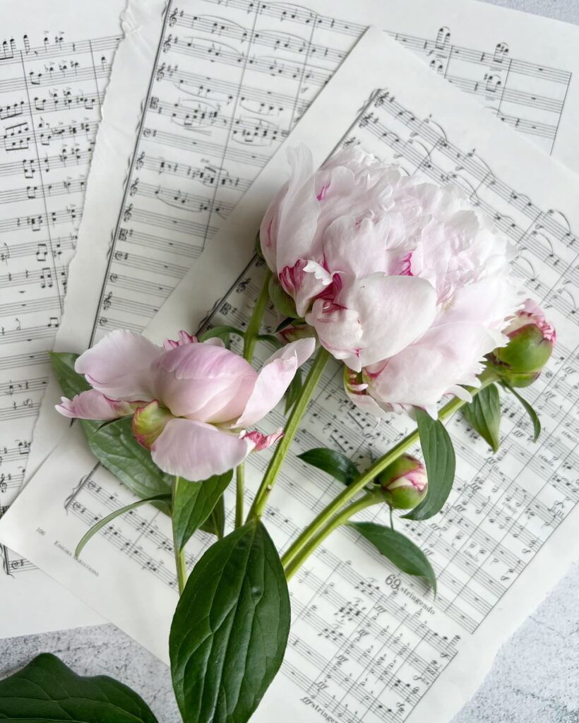 personal thoughtful Mother’s Day gift ideas women midlife - Pink peonies on sheets of music