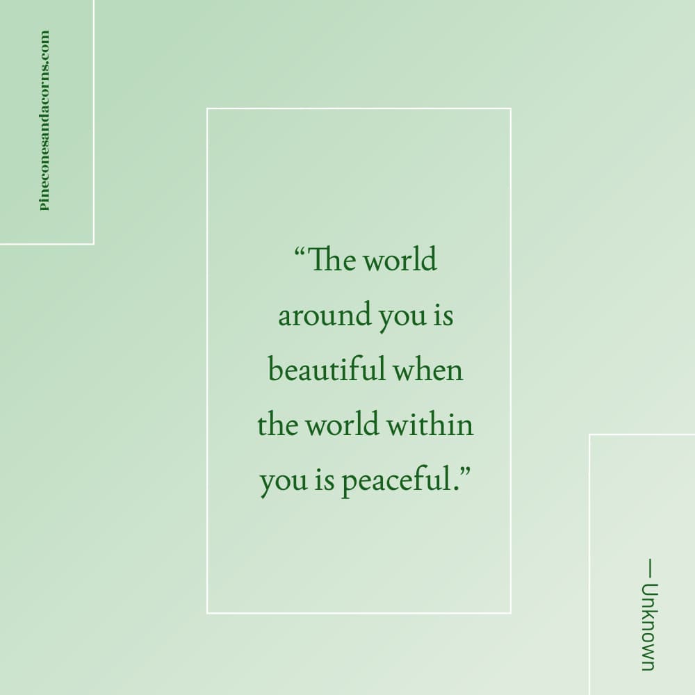 Quote The world around you is beautiful when the world within you is peaceful.