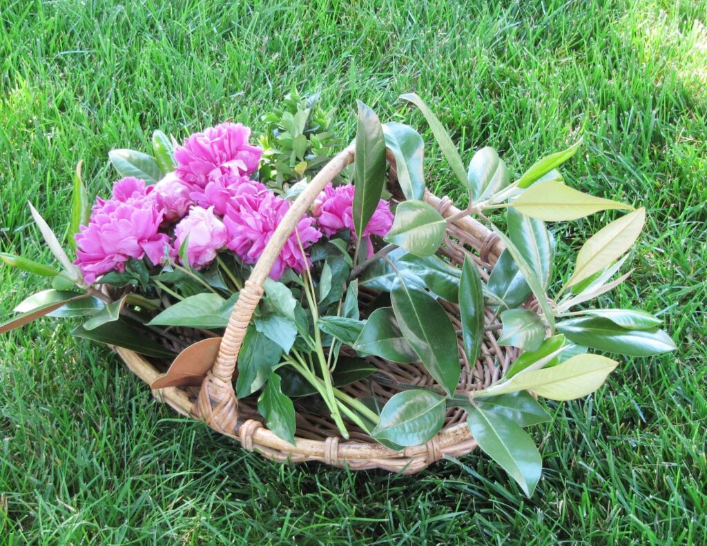 things to do in May~basket of peonies with magnolia