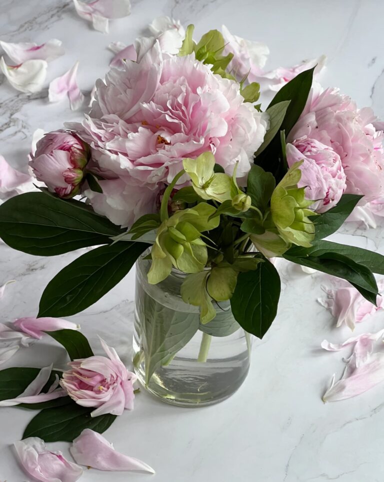 May — Everything is Possible