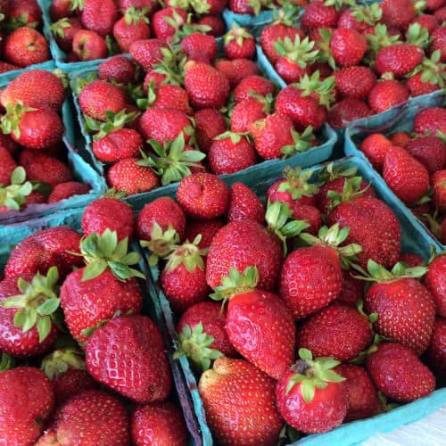 fresh red strawberries in green pint boxes