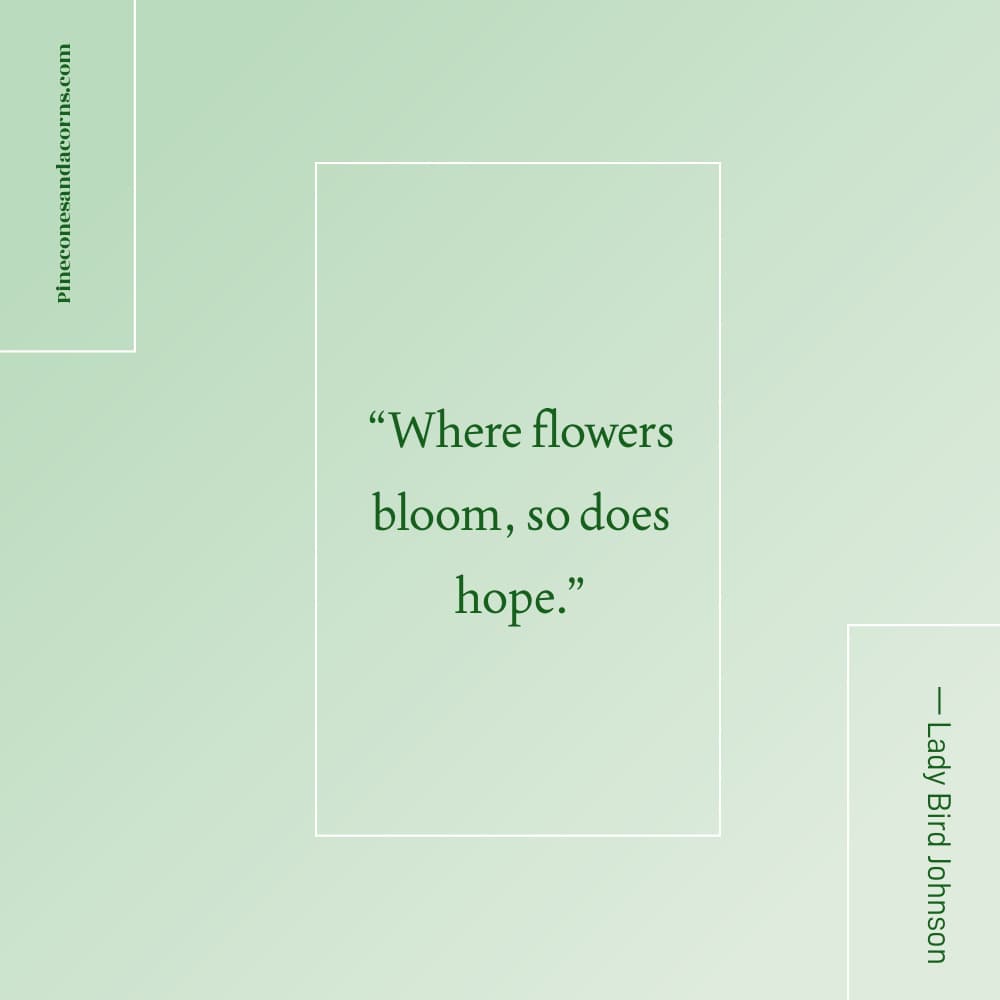 the flowers that take you home — Lady Bird Johnson quote about flowers and hope