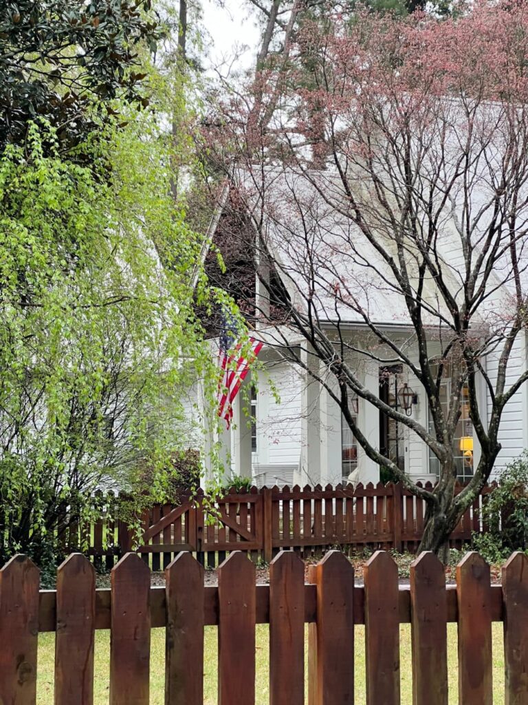 Afternoon Walk for Mental Health , whit house with a flag and flowering trees.