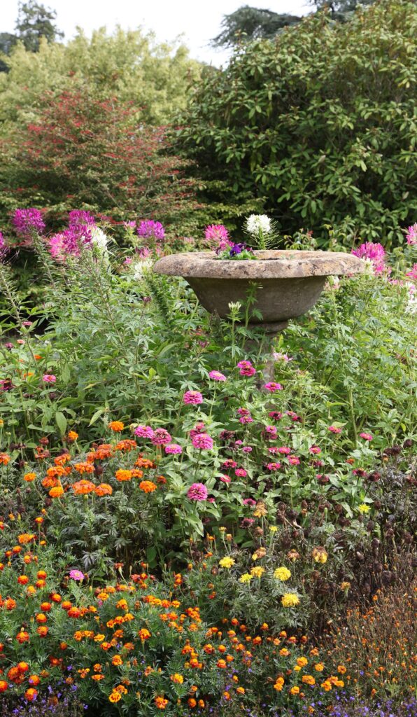 Weekend meanderings English garden and a birdbath
