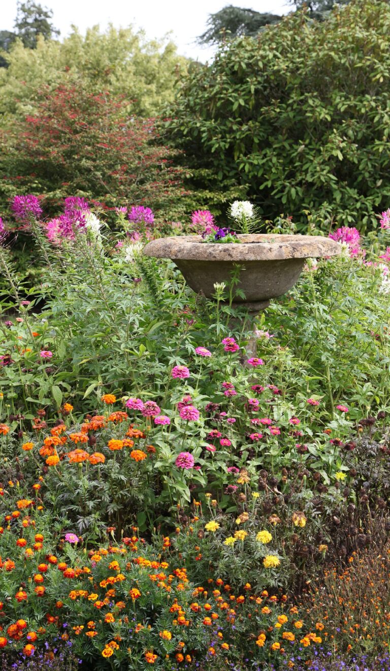 Weekend meanderings English garden and a birdbath