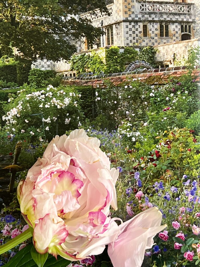 Weekend Meanderings Peony on a photograph of a garden