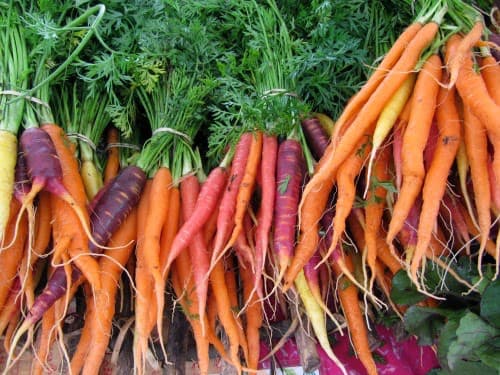 farmers-market-carrots