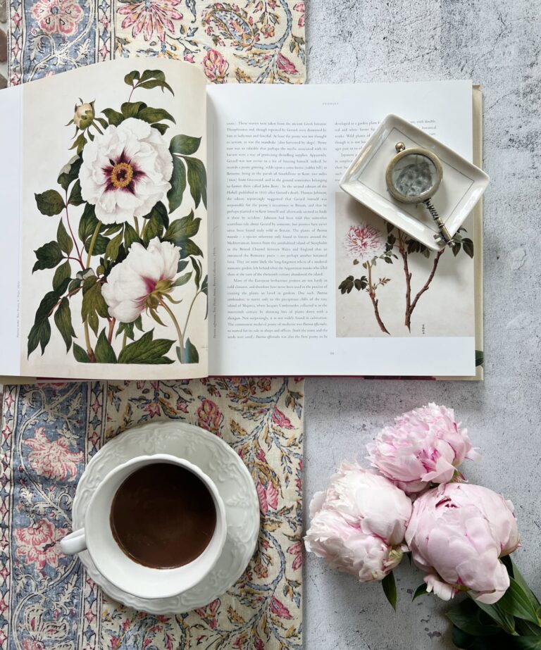 peonies, a book and hot chocolate