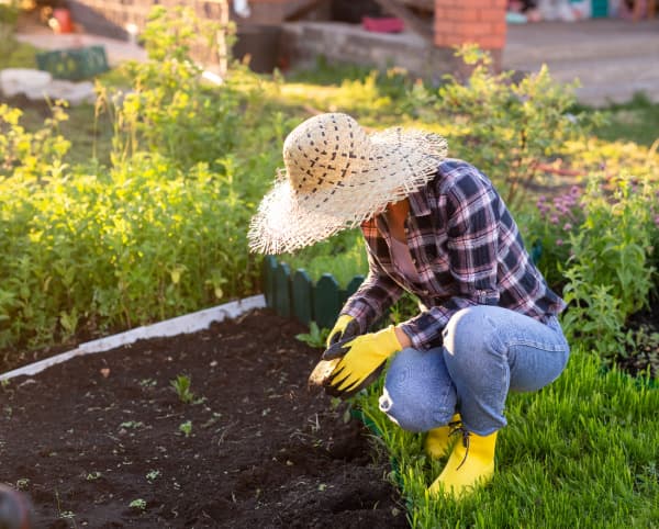planting-a-garden