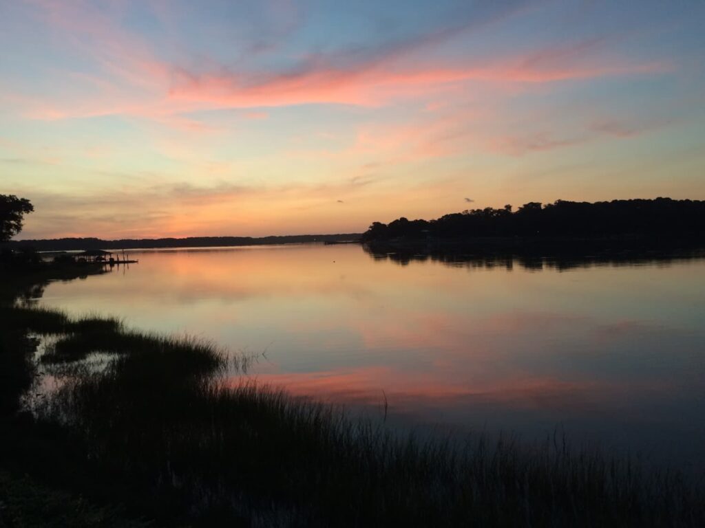 sunset on the water with birds