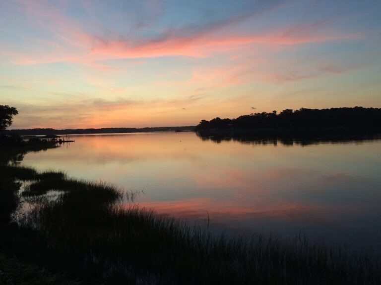 sunset on the water with birds