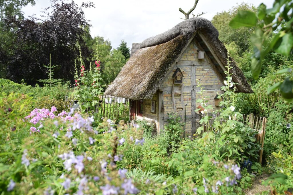Summer morning in a cottage garden with foxglove