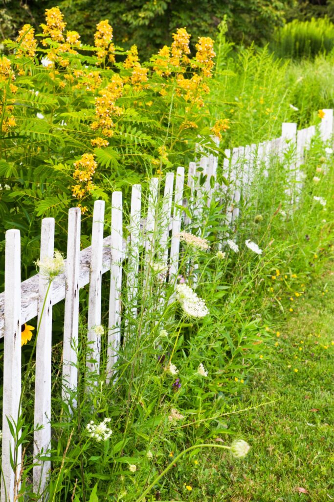 power-of-words-midlife old wooden fence with nail holes in afternoon light