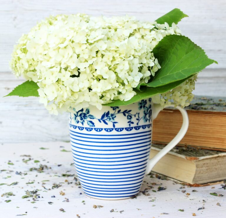 white hydrangeas in a blue and white cup and two books