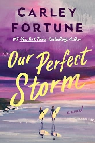 Our Perfect Storm Carley Fortune beach read women over 50