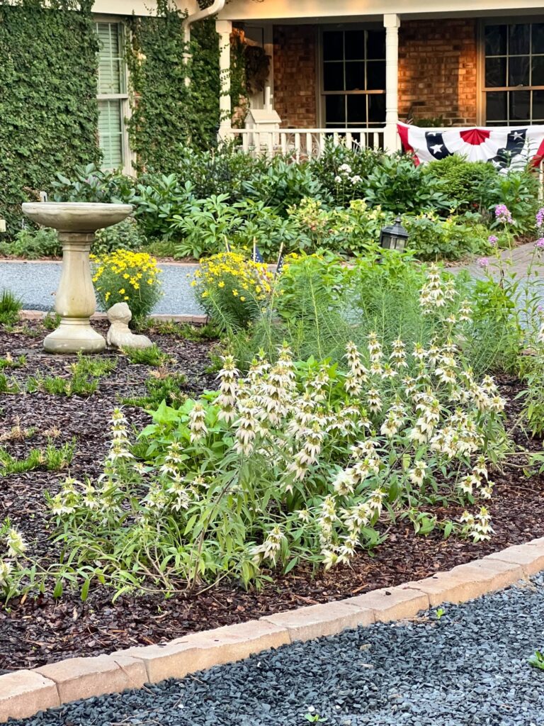 NATIVE FLOWERS IN A CIRCLE