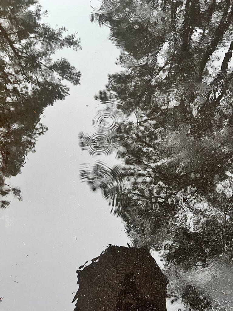 early morning walk at dawn