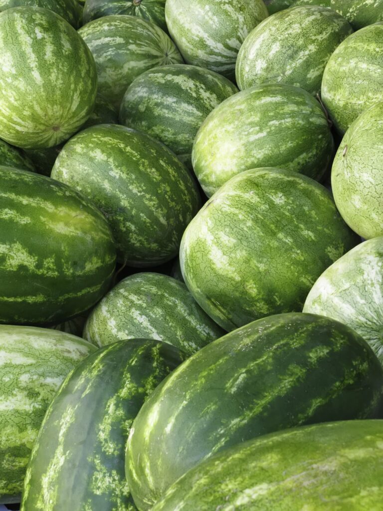 Watermelons at the market