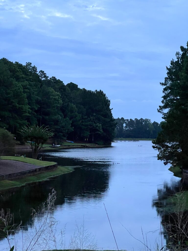 weekend meanderings morning southern pines summer