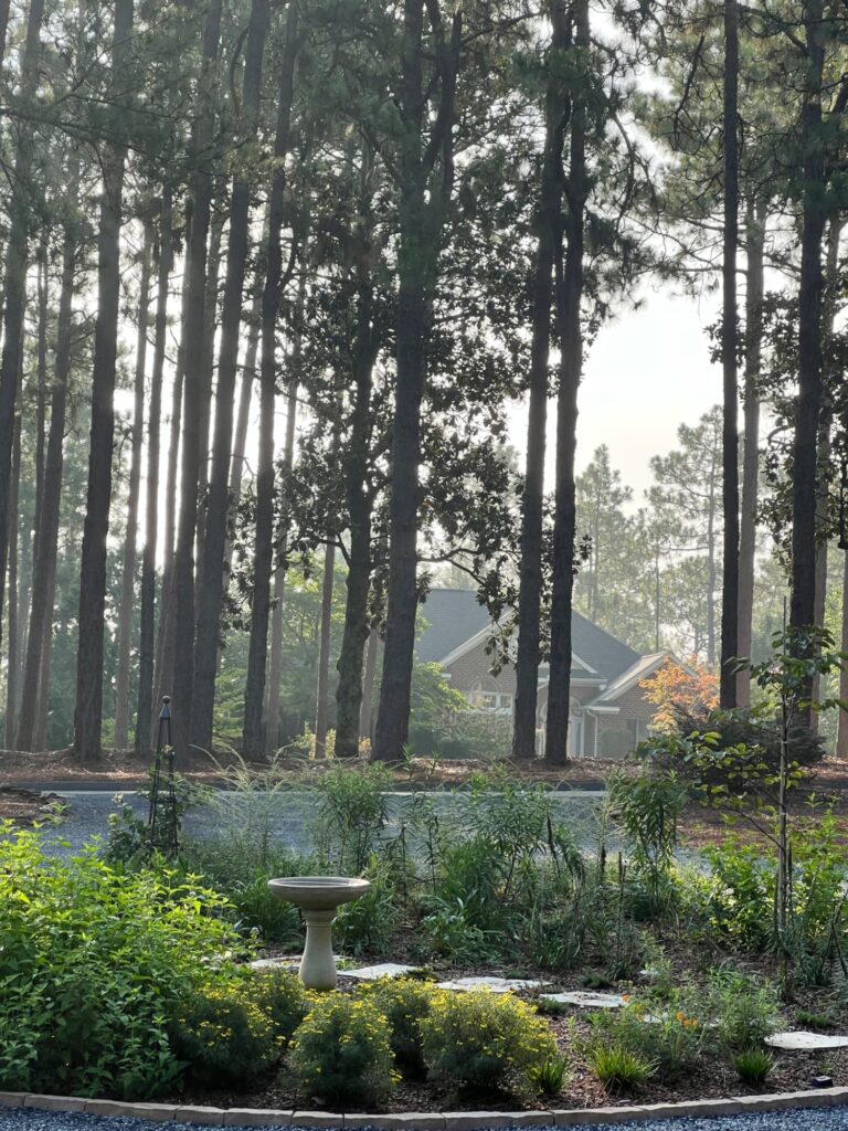 English country garden late summer Pinehurst North Carolina