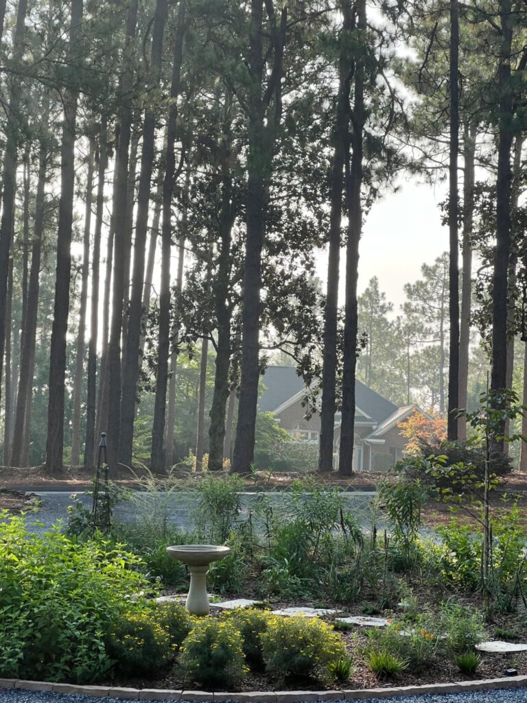 English country garden late summer Pinehurst North Carolina