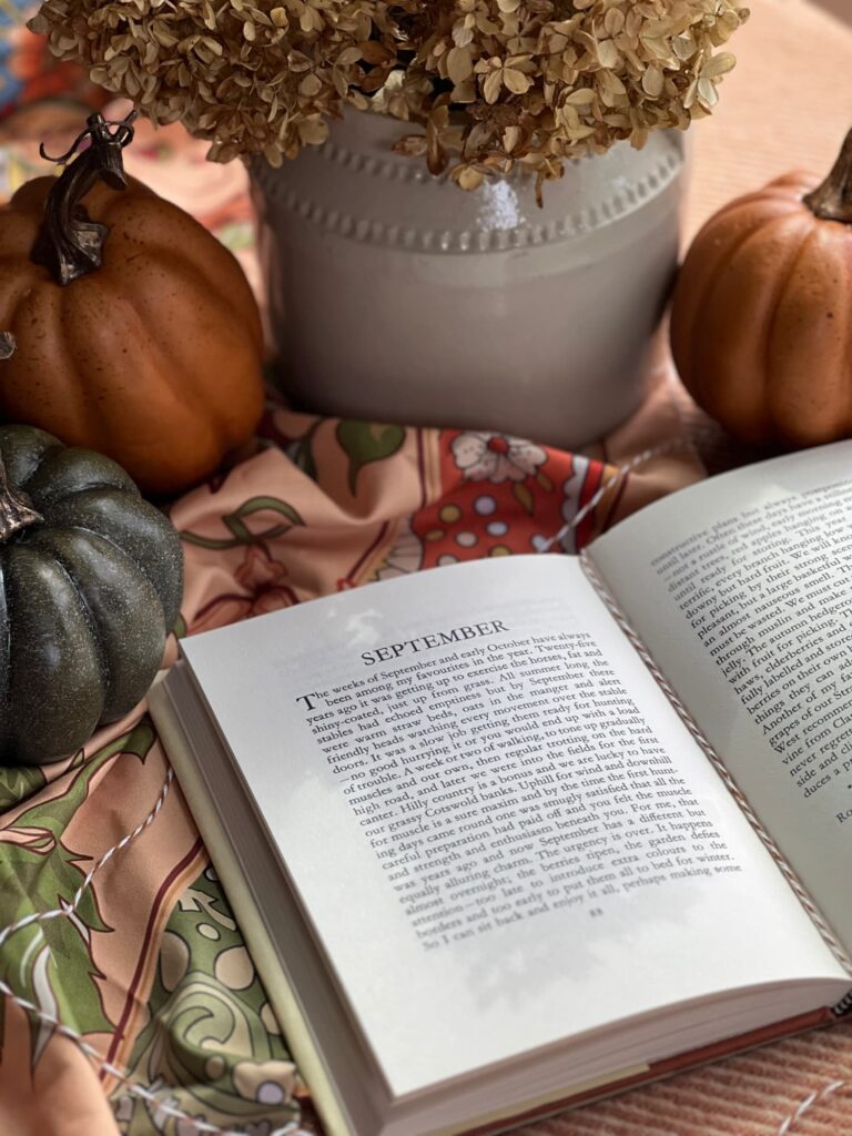 September morning light with pumpkins and a book