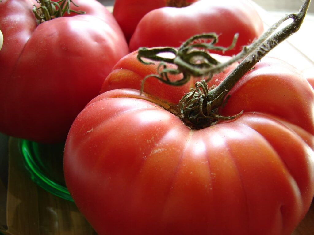 summer tomatoes at the farmers market