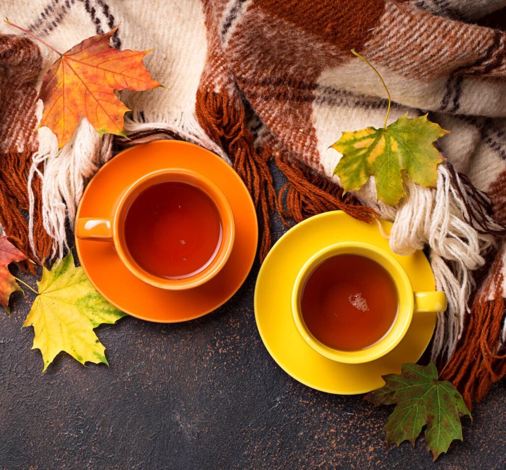 weekend meanderings first weekend of fall morning cup