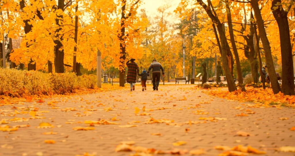two generations walking together in warm light.