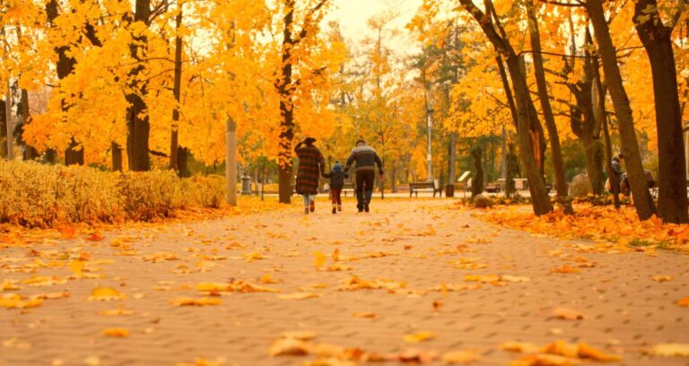 two generations walking together in warm light.