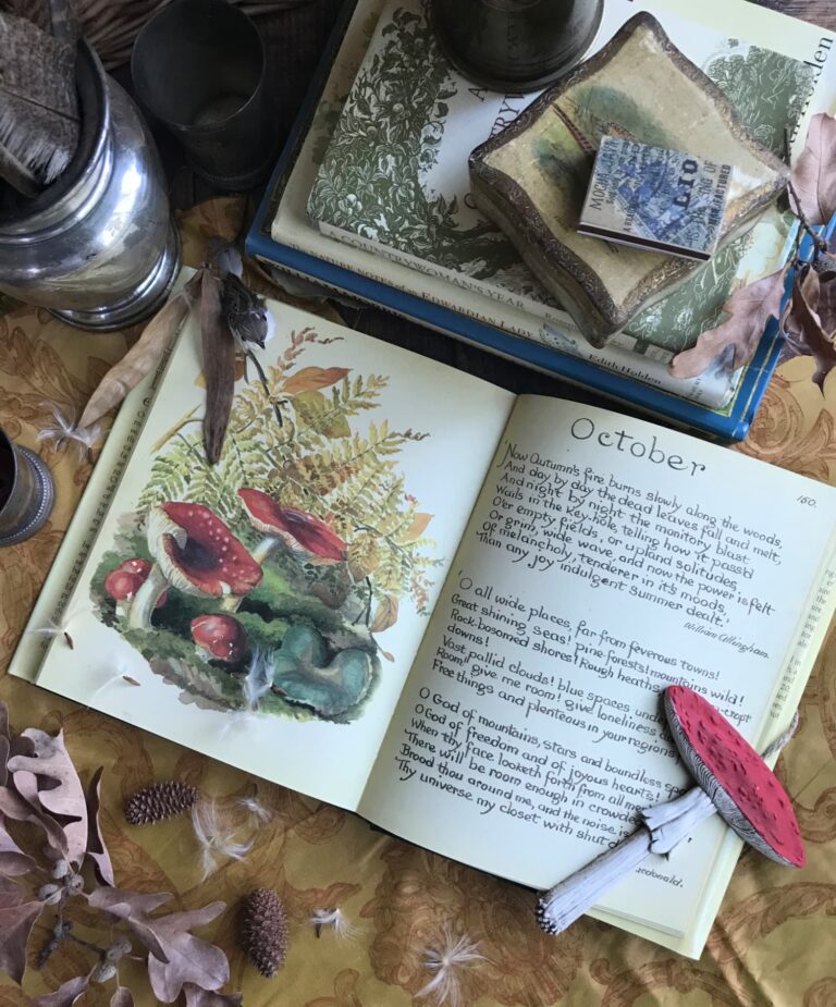 A cosy fall reading and recipe roundup from Pinecones and Acorns
