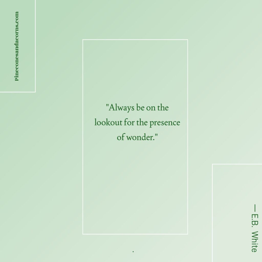 Quote E.B. White Always be on the lookout for the presence of wonder.