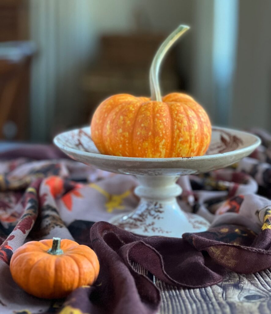 Two orange pumpkins on a transferware cake plate