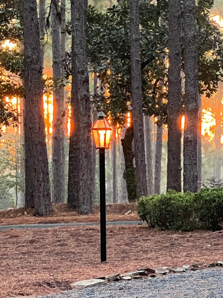 cool fall morning light, feeling adrift after loss.