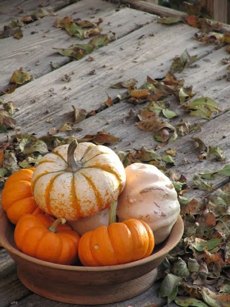 slow living in fall, pumpkins, gourds and fallen leaves