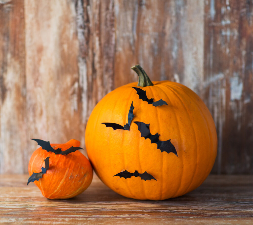 Weekend Meanderings — Halloween, a New York apartment, Harris Tweed, and Scottish cashmere at Pinecones and Acorns